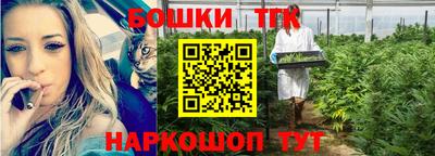 стаф Камень-на-Оби