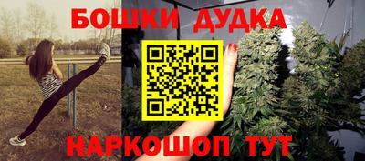 стаф Камень-на-Оби