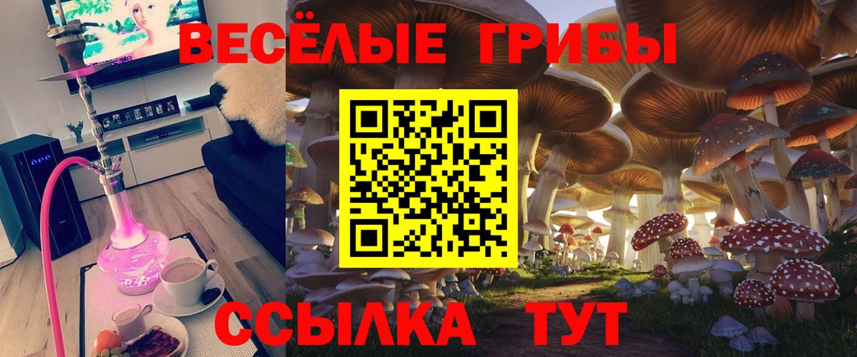 Усинск  Псилоцибиновые грибы GOLDEN TEACHER  Вход с VPN 